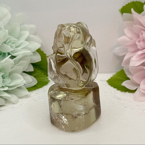 Nature Smokey Crystal Tailed Fox 🦊 - Picture 5 of 10